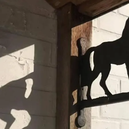 Le Bivouac Du Cheval De Bois ヴィラ Lasne