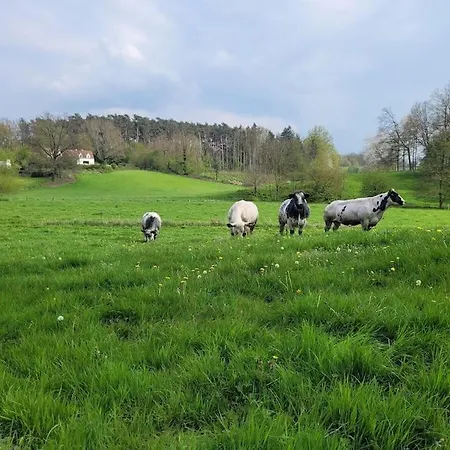 Le Bivouac Du Cheval De Bois Lasne